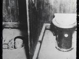 Photo 3/13 du lot