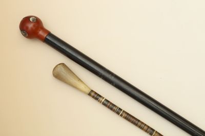 2 CANNES - L'une en bois noirci avec pommeau boule en cellul…