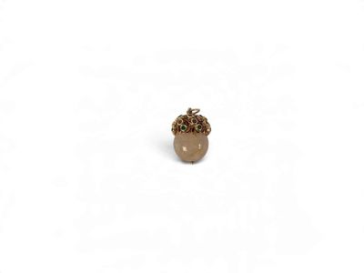 a close up of an acorn on a white background
