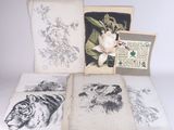 four books with drawings of animals and flowers on them sitting on a table