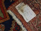 a cat that is laying on a rug with a tag