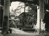 a black and white photo of a gate in a park
