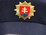 a close up of a hat with a coat of arms on it