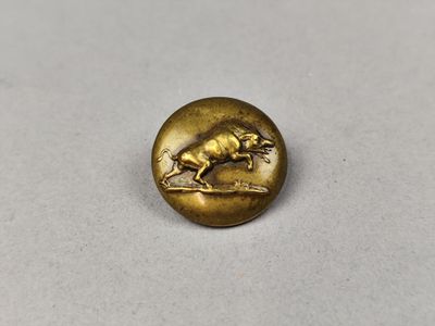 un gros plan sur un bouton doré orné d'un cheval