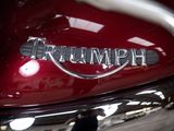 a close up of a red motorcycle with the word triumph written on it