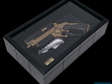 a picture of a gun in a glass case