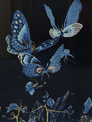 beaucoup de papillons bleus posés sur une table noire