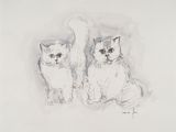 dessin représentant deux chats assis l’un à côté de l’autre sur une surface blanche