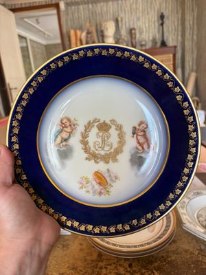 a person holding a blue and gold plate with a picture on it