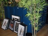 a plant in a pot on the floor next to some pictures