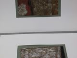 two paintings on the wall of a white room