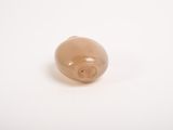 a close up of a small object on a white surface