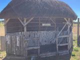 une petite cabane au toit de chaume au milieu d'un champ