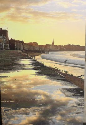 une planche de surf blanche posée sur la plage, près de l'eau
