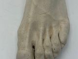 a statue of a foot that is sitting on a table