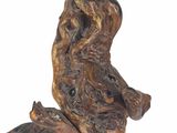 a sculpture of a frog that is sitting on a branch