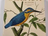 an image of a picture of a bird on a branch of a tree