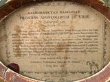a plaque on the side of a vase with a picture of a horse