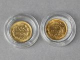 two gold coins in a glass container on a gray surface