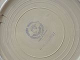 a person holding a white plate with a picture on it