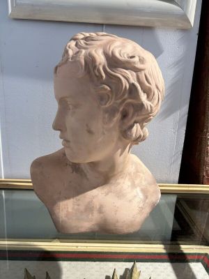 marble bust of a young man in a glass case