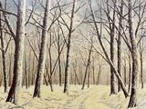 tableau représentant un sentier enneigé traversant une forêt aux arbres dénudés