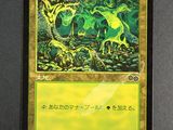 the back of a card with a picture of a dragon on it