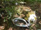 une vieille voiture abandonnée dans les bois