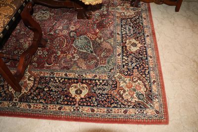 un chat assis sur un tapis au sol