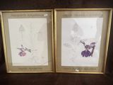 deux photos encadrées représentant des fleurs violettes sur fond noir