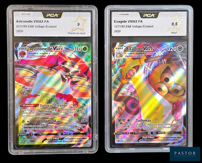 Deux cartes Pokémon se trouvent dans un étui en plastique sur un fond noir