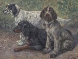 painting of three dogs sitting on the ground in a wooded area