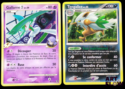 deux cartes Pokémon sur lesquelles figurent un chat et un oiseau