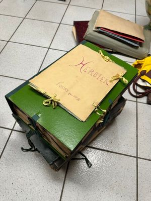 une pile de livres posée par terre à côté d'un vase