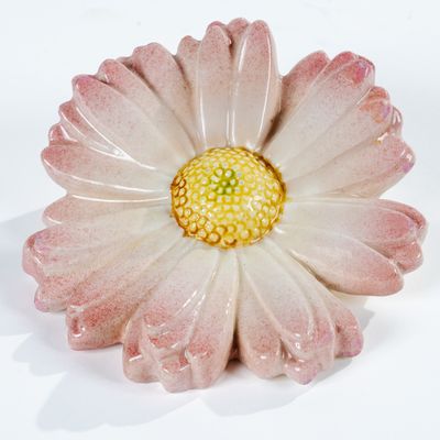 une fleur blanche au cœur jaune posée sur une surface blanche