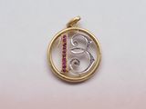 a close up of a gold and silver pendant with a bird on it