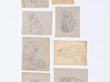 Plusieurs dessins représentant des chats et des chiens sont exposés sur une surface blanche.