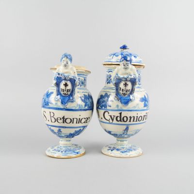 une paire de vases bleus et blancs ornés de motifs bleus et blancs