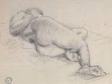 dessin au crayon représentant une femme nue allongée sur le ventre