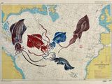 un dessin représentant des calmars sur une carte de l'océan