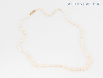 gros plan d'un collier de perles sur une surface blanche