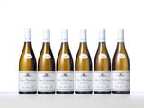 six bottles of white wine lined up in a row