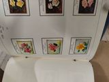 a picture of a toilet seat with pictures of flowers on it