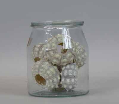 a glass jar with a bunch of small balls inside of it