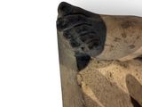 a seal that is laying down on a wooden bench