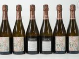 six bouteilles de vin sont alignées sur une surface blanche
