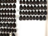 a picture of a display of bugs in a white box
