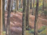 a painting of a path in the woods on the wall