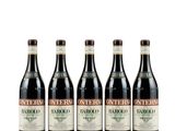 quatre bouteilles de vin rouge sont alignées sur une surface blanche