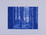 blue pencil drawing of a forest scene with trees in the foreground